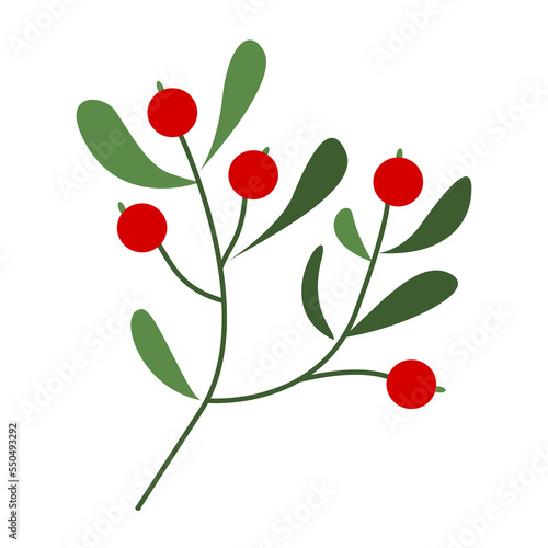 Berry illustration for Christmas ornament