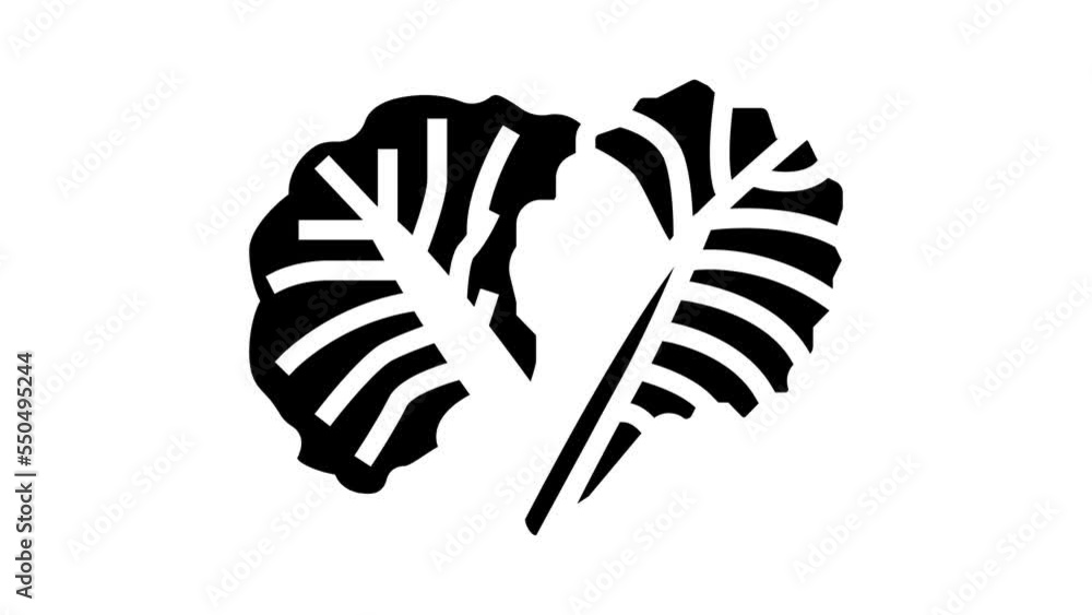 leaf cabbage glyph icon animation leaf cabbage glyph icon animation