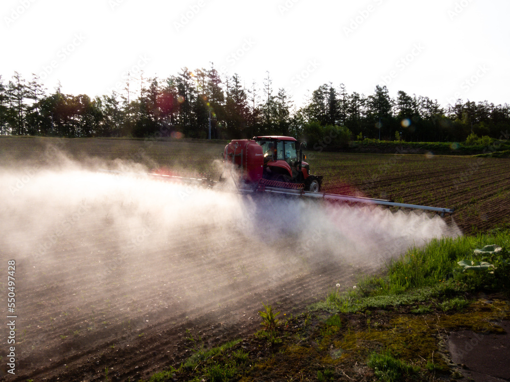 Fototapeta premium Tractor doing farm work in spring field