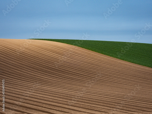 Foto A spring field with curving ridges
