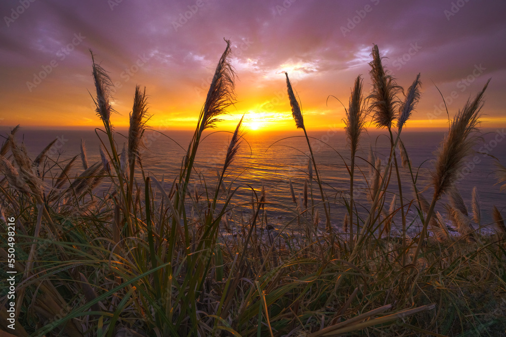 Golden sunset on the beach, Big Sur, California