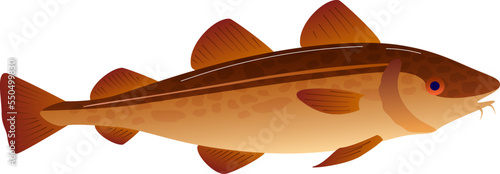 Fish ocean cod isolated on white, vector illustration. Animal in sea water, fishing nature for seafood background. Atlantic wildlife brown codfish