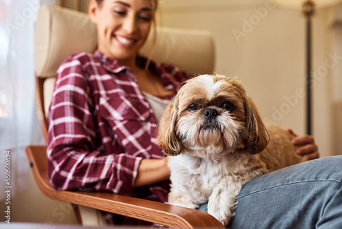 Cute dog relaxing on woman's lap and looking at camera. photo