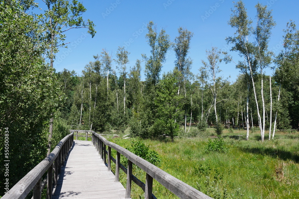 Naturlehrpfad am Teufelssee in Berlin