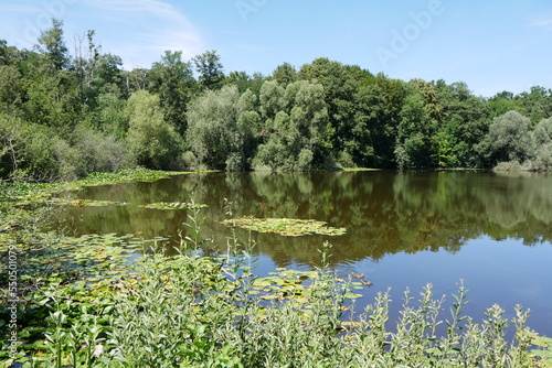 Wall Mural Teufelssee in den Müggelbergen in Berlin