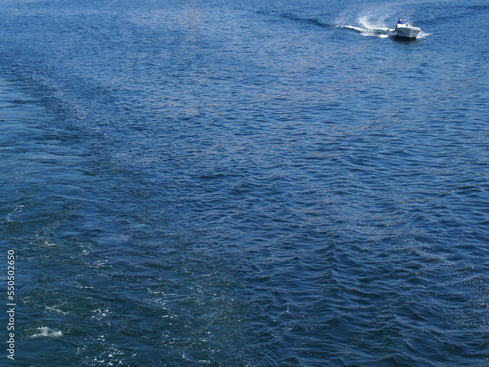 海 海