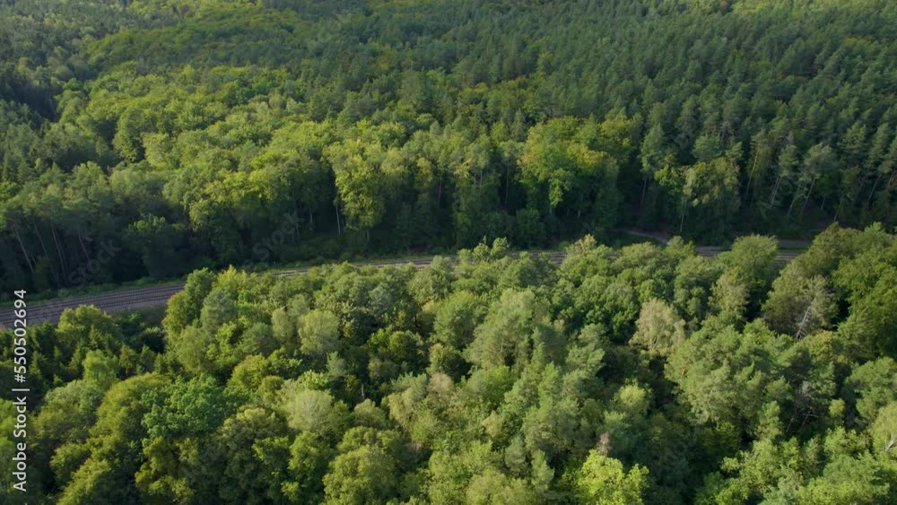 Aerial Topdown View Of Densely Forest Park With Road In Witomino, Poland. Aerial Topdown View Of Densely Forest Park With Road In Witomino, Poland.