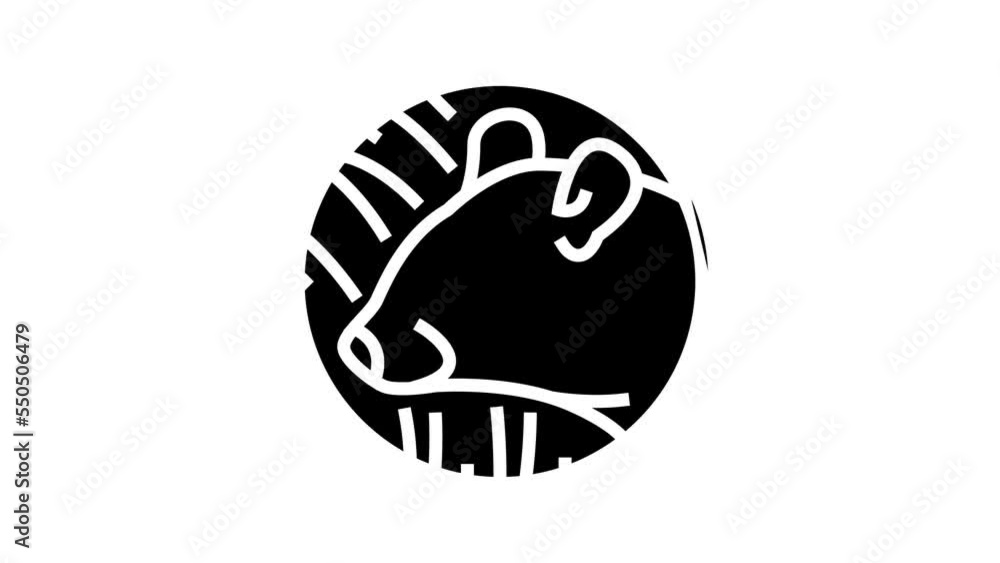 rat chinese horoscope animal line icon animation rat chinese horoscope animal line icon animation