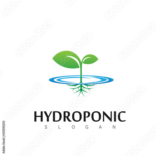 hydroponic logo nature natural leaf