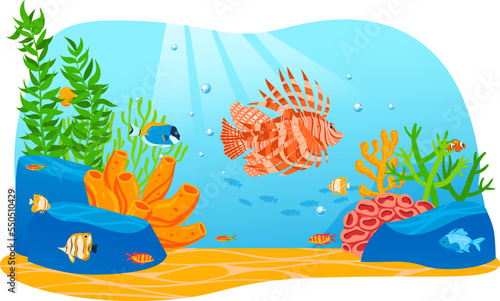 Underwater world. vector coral reef and fishes in Red sea illustration