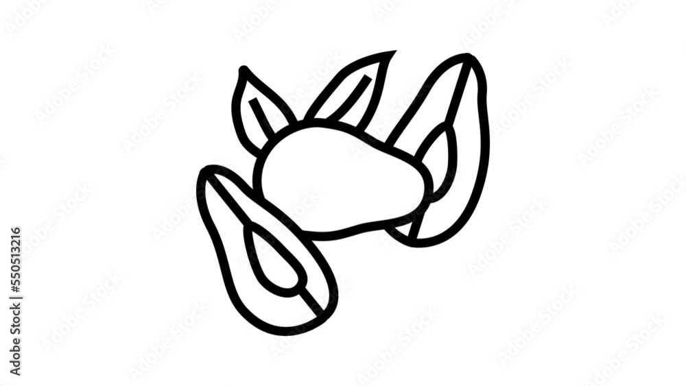 avocado cut peel green slice line icon animation avocado cut peel green slice line icon animation