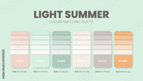 Color palette in a Summer colour theme collections. Color scheme or colors chart template. Color combination set of RGB, HSL and HEX codes. Color swatch for art, fashion, home design, or web design.