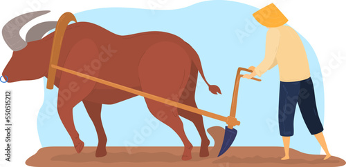 Farming rural work with cattle, peasant man at agricultur farm, vector illustration. Countryside farmland field worked by primitive plough