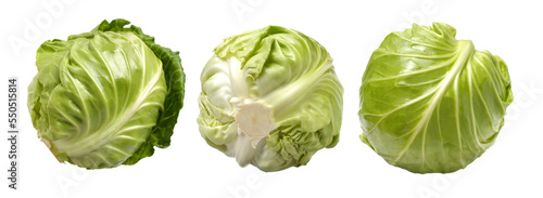 cabbage on a white background
