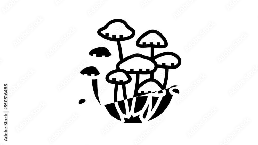 psychedelic natural mushroom line icon animation psychedelic natural mushroom line icon animation
