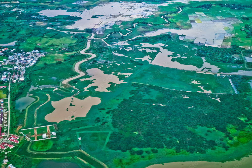 Naklejka premium aerial view of green swamp