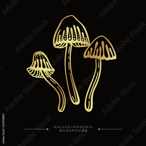 A group of golden toxic magical hallucinogenic mushrooms. Hand drawn toadstool concept. Golden drawing sticker of psilocybin mushrooms. Vector illustration