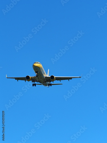 大空を羽ばたく旅客機