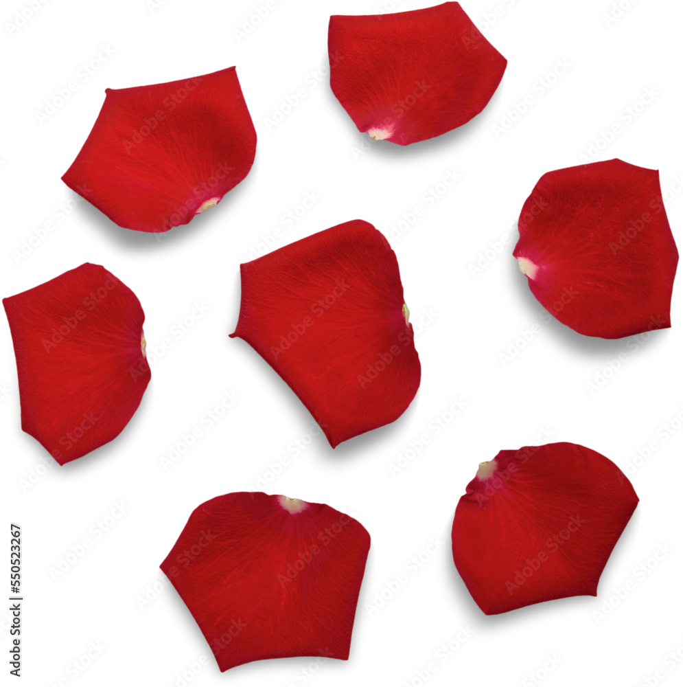 Fototapeta premium Red Rose Petals