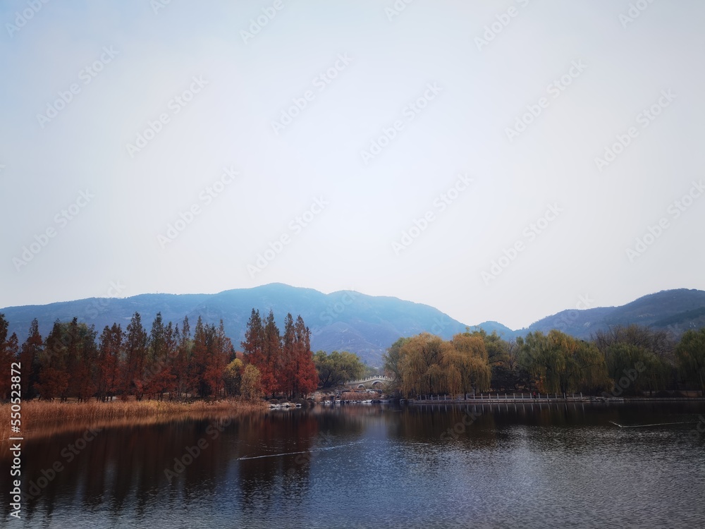 autumn autumn