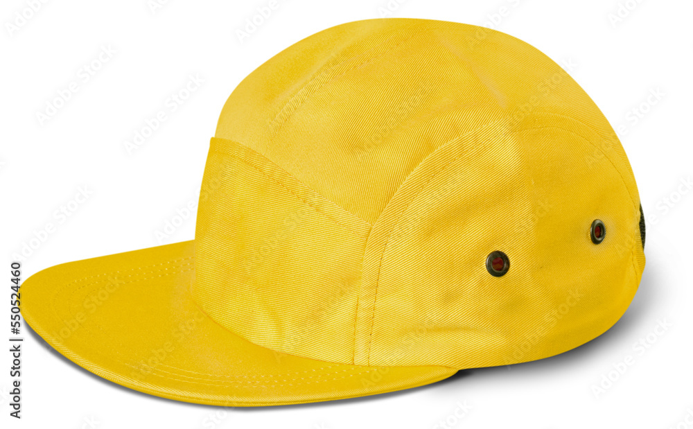 Fototapeta premium Fashionable hat - isolated