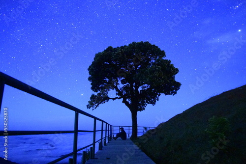 Fototapeta Naklejka Na Ścianę i Meble -  tree at night