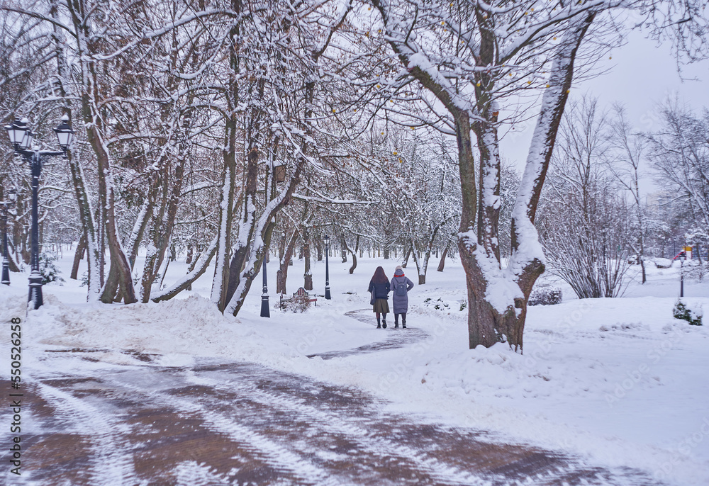 people walking in winter forest