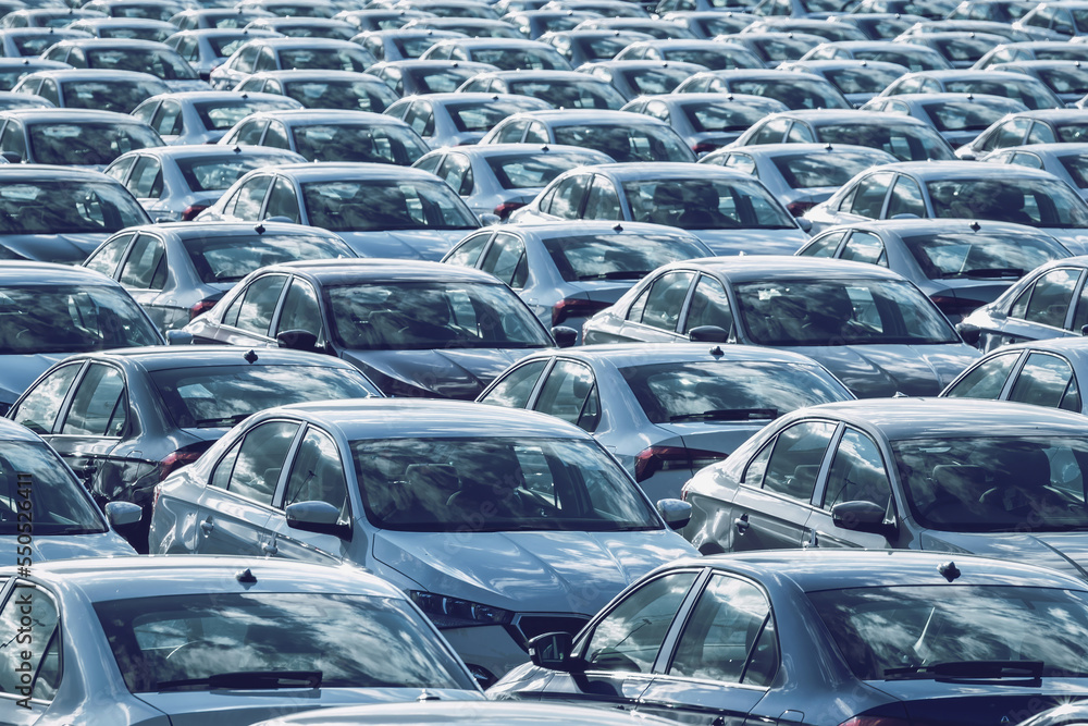 Rows of a new cars parked in a distribution center on a car factory on