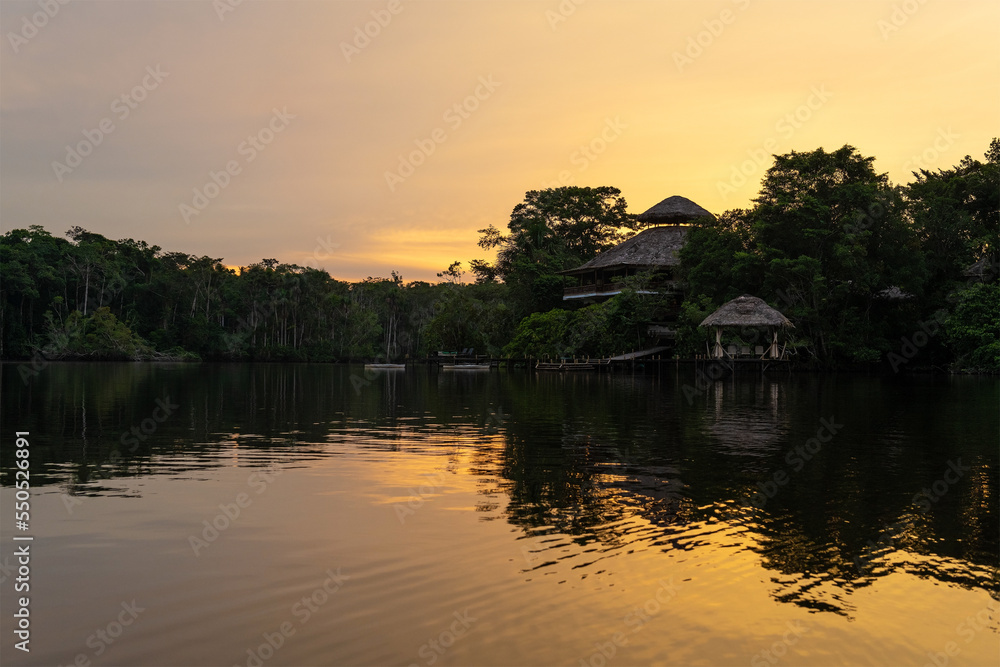 Amazon rainforest reflection at sunset, Yasuni national park, Ecuador.