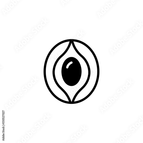 hajar aswad icon