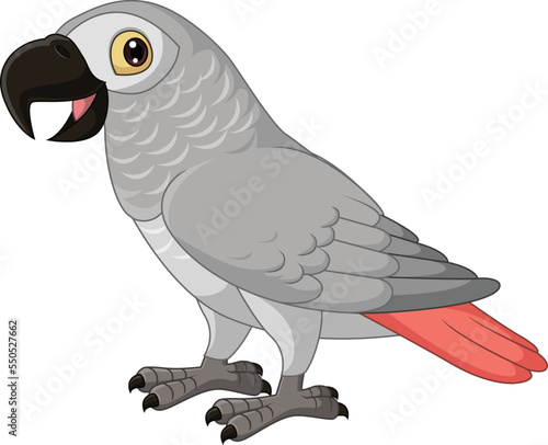 Cartoon Congo Grey Parrot on White Background