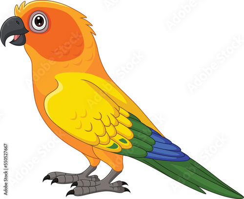 Cartoon Sun Conure Parrot on White Background