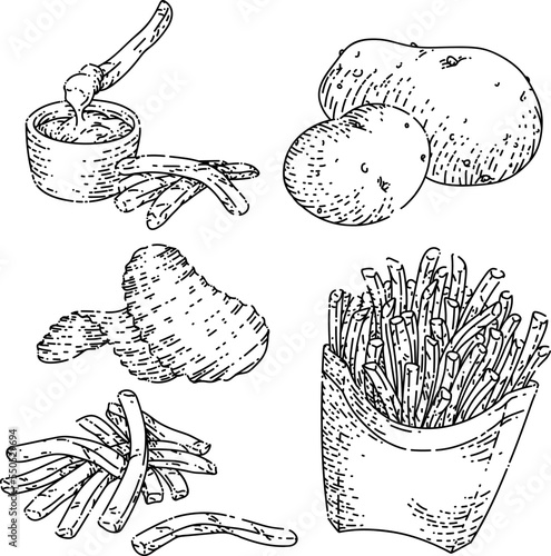 potato food set hand drawn vector. farm vegetable, engraved plant, cooking chip, organic starch, sweet yam fresh slice potato food sketch. isolated black illustration