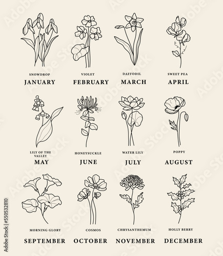 Line art birth month flowers collection