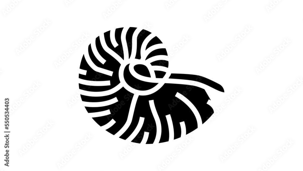 nautilus sea shell beach line icon animation nautilus sea shell beach line icon animation