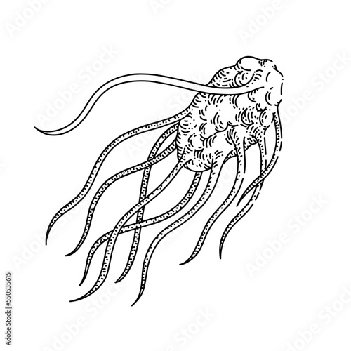 bacteria cell hand drawn vector. microorganism pathogen, health medicine, human infection, flu bacteria cell sketch. isolated black illustration