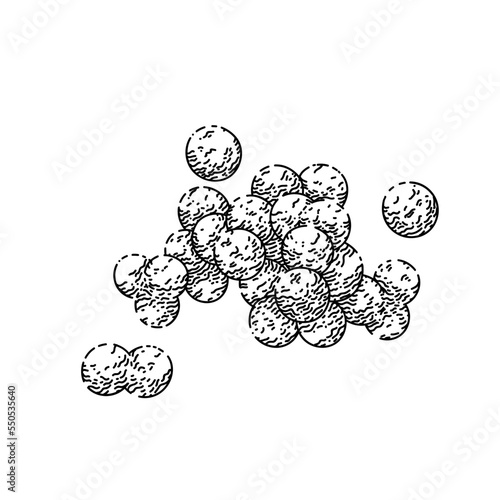 bacteria germ hand drawn vector. disease organism, blood pathogen, allergy protect bacteria germ sketch. isolated black illustration