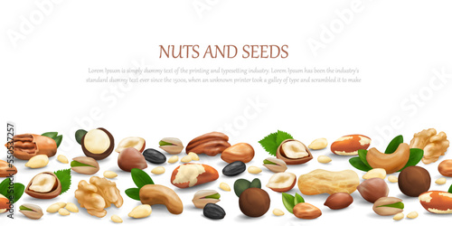 Seamless pattern of different types of nuts and seeds with space for your text. Isolated on white background. Vector graphics