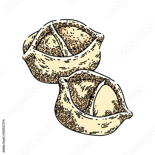 manti food hand drawn vector. tasty frozen dumpling cook food, manti sketch. isolated color illustration