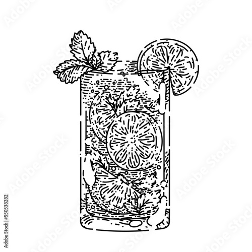 mojito cocktail hand drawn vector. mint glass drink, lime ice, green fruit mojito cocktail sketch. isolated black illustration
