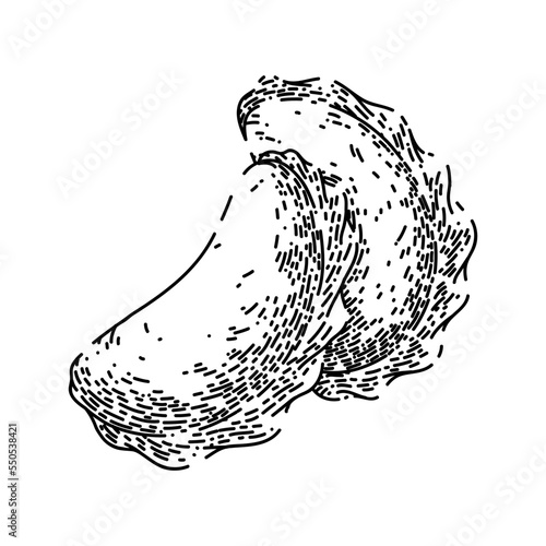 dumpling hand drawn vector. gyoza fried, rice ravioli asian food dumpling chinese sketch. isolated black illustration