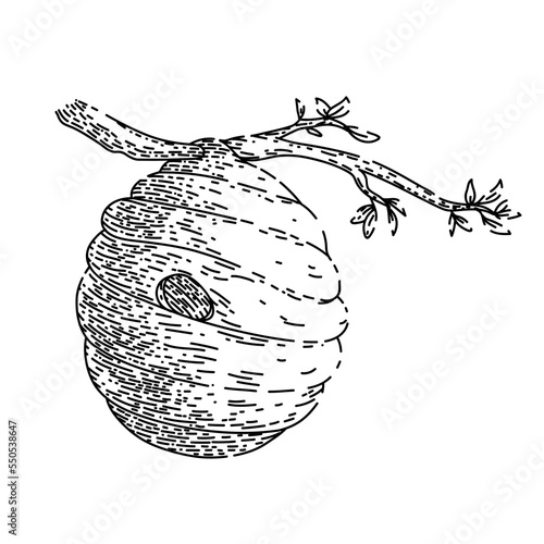 beehive hand drawn vector. bee apiary, hive beekeeper, honey field beehive sketch. isolated black illustration