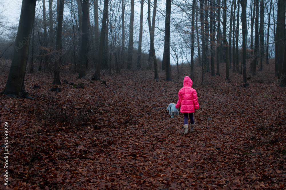 Dziecko samotne w lesie - obrazy, fototapety, plakaty 