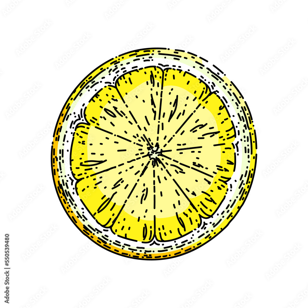 lemon ripe slice hand drawn vector. citrus cut food, freash fruit, half citron lemon ripe slice sketch. isolated color illustration