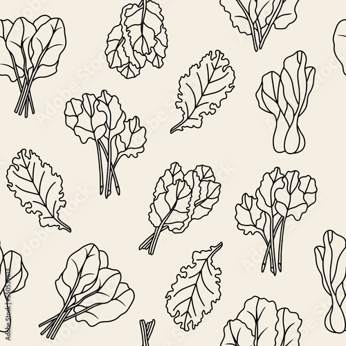 Line art leafy greens seamless pattern. Spinach, kale, collard, Swiss chard, bok choy, rhubarb