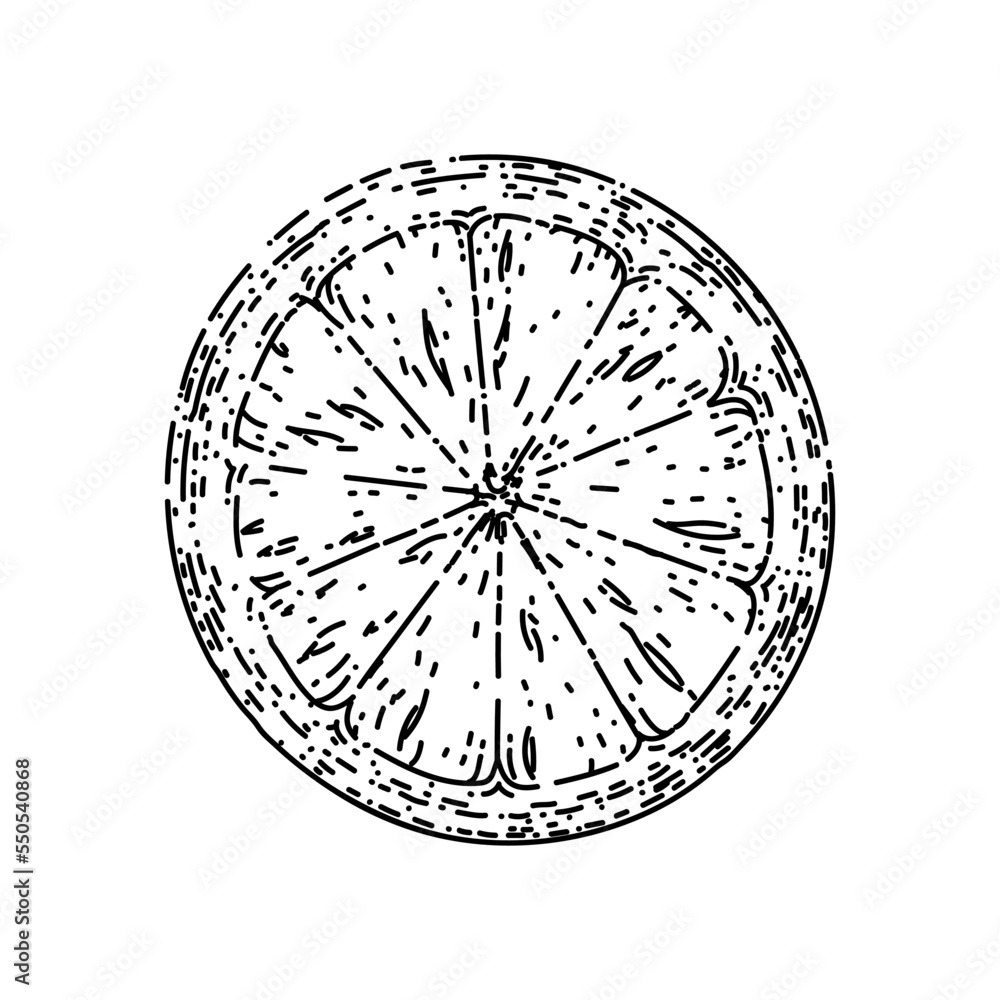 lemon ripe slice hand drawn vector. citrus cut food, freash fruit, half citron lemon ripe slice sketch. isolated black illustration lemon ripe slice hand drawn vector. citrus cut food, freash fruit, half citron lemon ripe slice sketch. isolated black illustration