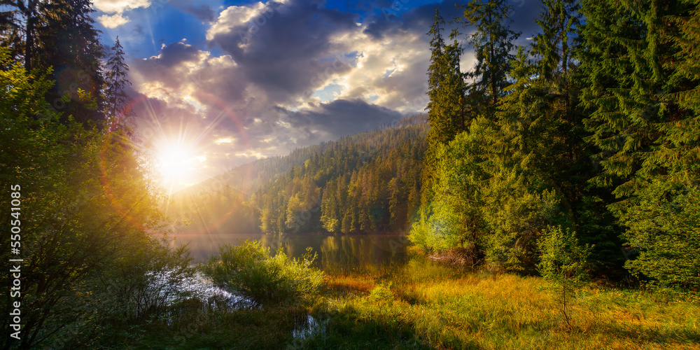 lake among the spruce forest at sunset. stunning nature scenery in carpathian mountains. sunny summer weather with clouds on the sky in evening light. popular travel destination
