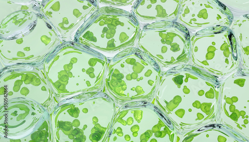 close up macro Nano chlorophyll or chloroplast biotech concept 3d illustration render green background. chlorophyll, chloroplast  photo