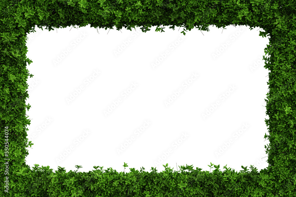Green leaves border isolated on transparent background - 3D Illustration