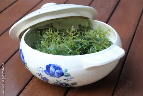 Seaweed (Eucheuma cottonii) in a white bowl with blue floral pattern and wood background. Usually used to make Indonesian traditional snack dodol.